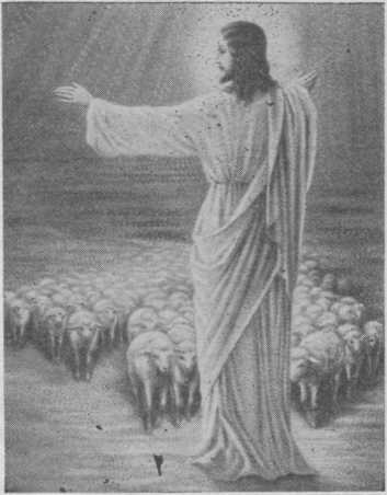Jėzus laimina avis